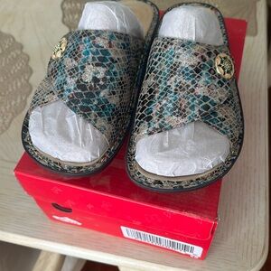 Women’s Alegria Shoe